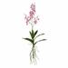 Primrue Artificial Mini Orchid Spray | 30.5 H x 5 W x 8.5 D in | Wayfair CCCDD0DC379E405C93883DE5A5280184