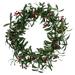 The Holiday Aisle® Red Berry & Mistletoe 24" Polyester Wreath in Green/Red | 24 H x 24 W x 3 D in | Wayfair C5666427B1864A0C8E9ED30289150DAC