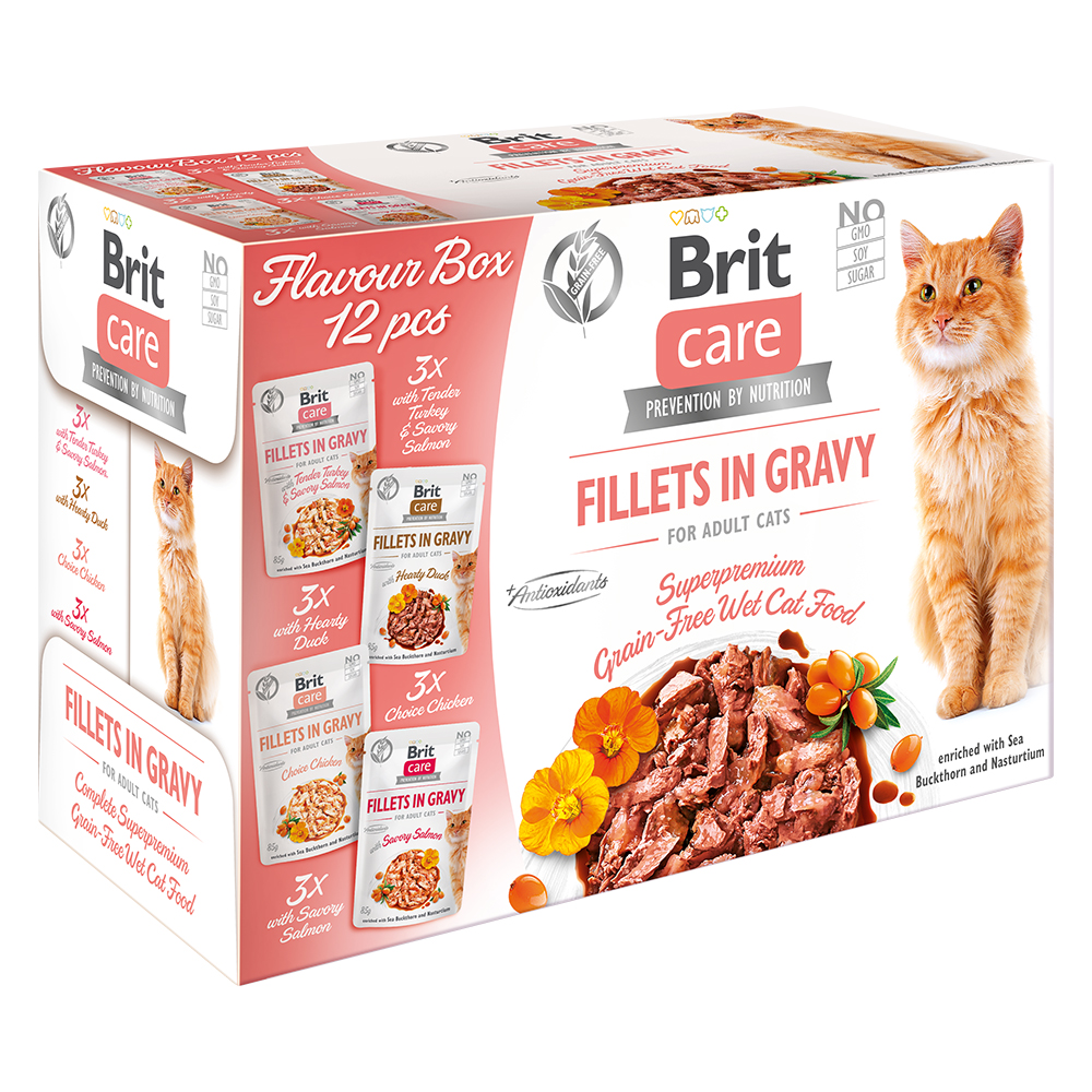 Brit Care Cat Fillets in Salsa Pacco misto 12 x 85 g Umido per gatti - Mix: Tacchino & Salmone, Pollo, Anatra, Salmone