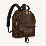 Louis Vuitton Bags | Louis Vuitton Palm Springs Mm Backpack | Color: Black/Brown | Size: Os