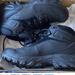 Columbia Shoes | Columbia Hiking Boots | Color: Black | Size: 12