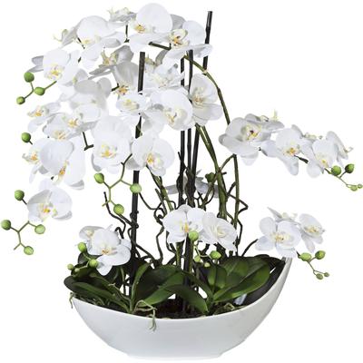 Kunstorchidee CREATIV GREEN "Phalaenopsisarrangement, 68cm weiss", weiß, H:68cm, Kunststoff, Kunstpflanzen, in Keramikschale Image