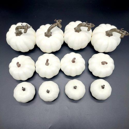 Perle Rare - 12 weiße Deko | Dekorative Halloween-Kürbisse | Kürbisse | Zierkürbisse und Kürbisse