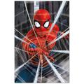 Poster marvel spider-man gotcha