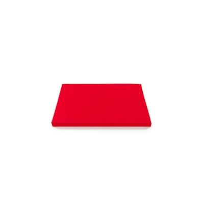 PROREGAL 5x Sitzkissen für Eurobox NextGen Seat Box | BxT 40x60cm | Rot | Eurobehälter, Sitzbox, Transportbox, Transportbehälter Image