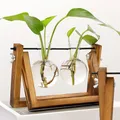 Vase de terrarium avec support en bois rétro pour plantes hydroponiques jardinière en verre