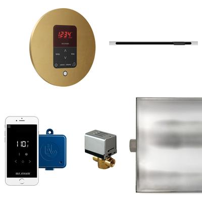 Mr Steam BTLRL1R Butler Linear Steam Generator Control Kit / Package