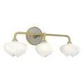 Hubbardton Forge Ume 3-Light Curved Arm Vanity Light - 201342-1104