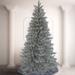 National Tree Company Clear Pine Christmas Tree w/ LED Lights, Crystal in Green | 64 W x 36 D in | Wayfair XCP13-304L-100