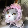 MPK Cat Sauna Wear Beautiful Cat Hat Pet Hair Accessrespiration Cat Sauna Wear Birthday Hat Cat