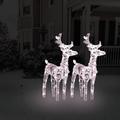 vidaXL Christmas Reindeers 2 pcs Warm White 80 LEDs Acrylic