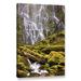 Loon Peak® 'Proxy Falls Oregon 8' by Cody York Photographic Print on Wrapped Canvas in Brown/Green/White | 24 H x 16 W x 2 D in | Wayfair