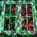 The Holiday Aisle® Christmas Decorative Mini Lights | 3 H x 5 W x 3 D in | Wayfair 4A73C34F524E495FA065AC0D95380918