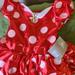 Disney Costumes | New With Tags Disney Minnie Mouse Halloween Costume Size 5/6 | Color: Red | Size: Osg