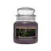 A Cheerful Giver Branches & Berries Scented Jar Candle Paraffin in Indigo | 5.5 H x 4 W x 4 D in | Wayfair CS178