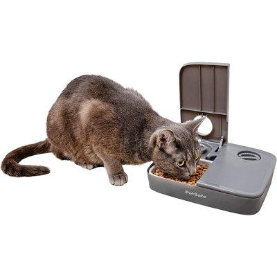 Heavently Furnishings Petsafe Analog 2 Meal Programmable Pet Feeder, Automatic Dog & Cat Feeder - Dry Or Semi-Moist Pet Food Dispenser | Wayfair