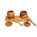 Rainforest Bowls Teak Wood Spice Container Set w/ Tray & Spoons Wood in Brown | 1.9 H x 3.14 W x 5.9 D in | Wayfair TWRB-0054-01