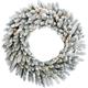 Fraser Hill Farm Icy Frost Snow Flocked Wreath Most Realistic Faux in Green/White | 24 H x 24 W x 5.5 D in | Wayfair FFIF024WR-5SN