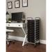 Paracity 10-Drawer Rolling File Cart Metal in Gray | 37.6 H x 15.25 W x 13 D in | Wayfair CS3DKSULXA5310A