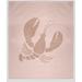 Breakwater Bay Lobster Fleece Blanket Microfiber/Fleece/Microfiber/Fleece in Pink/Brown | 60 H x 50 W in | Wayfair 979DF972C9A34AF2A56DDA80C9B5B554