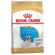 3kg Bouledogue Français Puppy Chiot Royal Canin - Croquettes pour chien