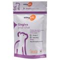 Easypill Gingiva 2x (30x2g) - pour chat