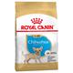 3x1,5kg Chihuahua Puppy/Junior Royal Canin - Croquettes pour Chien