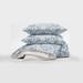 Fleur De Lis Living Neufeld Indali Zipper Pillow Sham 100% Cotton | 20 H x 30 W x 1 D in | Wayfair BF8A35E04B4E4043A3BBDF574E5C7919