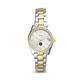 Women's Fossil Silver Willamette Bearcats Scarlette Mini Two-Tone Stainless Steel Watch