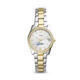 Women's Fossil Silver Tulsa Community College Scarlette Mini Two-Tone Stainless Steel Watch