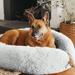 Best Friends by Sheri The Original Calming Donut Cat & Dog Bed Polyester in Blue/Black | 9.3 H x 45 W x 45 D in | Wayfair 70678