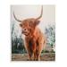 Stupell Industries Highland Cattle Cow Grazing Rural Farmland Sunlight Wall Plaque Art By Dakota Diener Canvas in Green/Orange | Wayfair