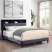 Latitude Run® Draya 58.5"Width Full Bed Upholstered/Polyester in Gray | 46 H x 82.75 W x 58.5 D in | Wayfair A1645C9297B1458CB5E591E72E29F932