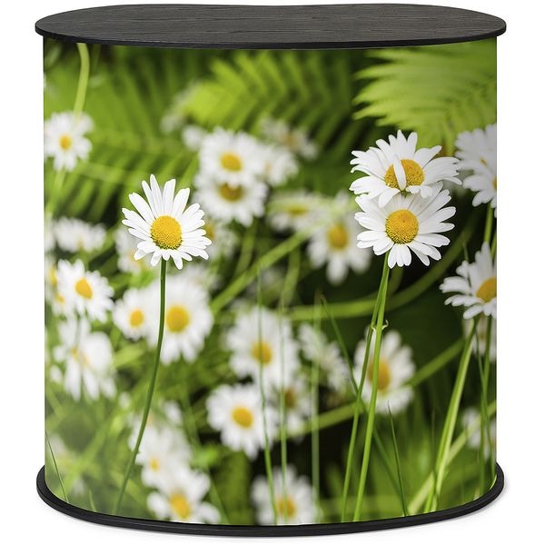 Showdown Displays Promotionstheke »Professional M« - ohne Druck schwarz Image