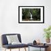 East Urban Home Waterfall In The Milpe Bird Sanctuary, Mindo Cloud Forest, Ecuador by Tim Fitzharris - Wrapped Canvas Photograph Print Paper | Wayfair