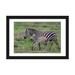 East Urban Home Burchell's Zebra Mare & Newborn Foal, Ngorongoro Conservation Area, Crater Highlands, Arusha Region | 24 H x 32 W x 1 D in | Wayfair