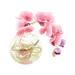 Primrue Orchids Floral Arrangement in Bowl Plastic/Polysilk in Pink | 10 H x 11 W x 6 D in | Wayfair 5F2C45DB8541461FB0885586FDF71548