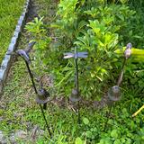 Arlmont & Co. Keshondra 3 Piece Garden Stake Set Metal | 36.5 H x 5 W x 3.75 D in | Wayfair A353744C6D04460391F730688441F65F