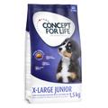 6kg X-Large Junior Concept for Life Dry Dog Food