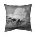 Clouds Square Throw Pillow Polyester/Polyfill blend in Gray Begin Edition International Inc | 26 H x 26 W x 5.75 D in | Wayfair 5541-2626-LA59-2