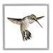 Stupell Industries Green Hummingbird Hovering Wings Flying Bird Beak Giclee Texturized Art Set By Studio Q Canvas in Gray/Green | Wayfair