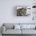 Latitude Run® Robert Michaud "Jaguar 2" Canvas Art Metal in Gray/White | 22 H x 32 W x 2 D in | Wayfair C2031F0856874B41B8FAAF2F8E8924CA
