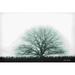 Winston Porter Foggy Old Tree by Lori Deiter - Wrapped Canvas Photograph Metal in Black/White | 32 H x 48 W x 1.25 D in | Wayfair