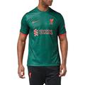Nike Liverpool, Men's Jersey, 2022/23 Season Official Third Kit