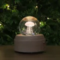 Lampe à Projection Rotative 3D en Forme de Lune Boule de Clip Veilleuse Boîte à Musique en Bois