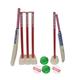 Kosma Junior 2 Player’s Kwik Cricket Set | Cricket Set with bag | 2 x Bats | 4 x Balls | Wicket Stump set with Bails | Single Stump | Ivory & Red Color | For Ages 11-15 years