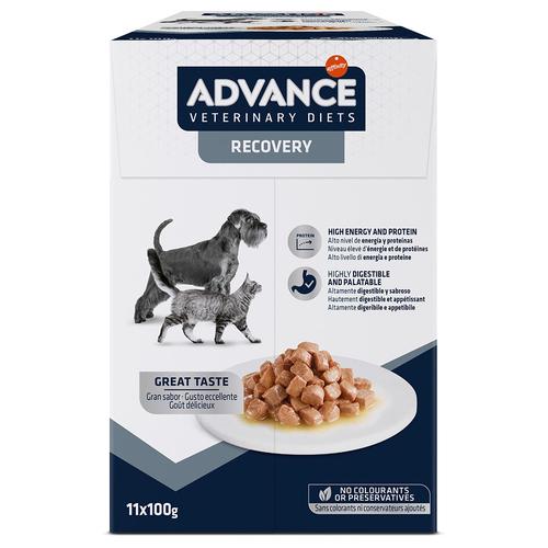 22x100g Advance Veterinary Diets Recovery Hundefutter nass