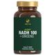 VITACTIV NADH 100 + Ginseng - Biologisch Aktives PANMOL® NADH plus Sibirischer Ginseng - Stabilisiertes NADH, Vegan - 60 Kapseln