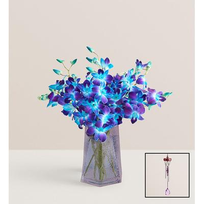 1-800-Flowers Flower Delivery Ocean Breeze Orchids 10 Stems W/ Blue Vase & Windchime | Happiness Delivered To Their Door