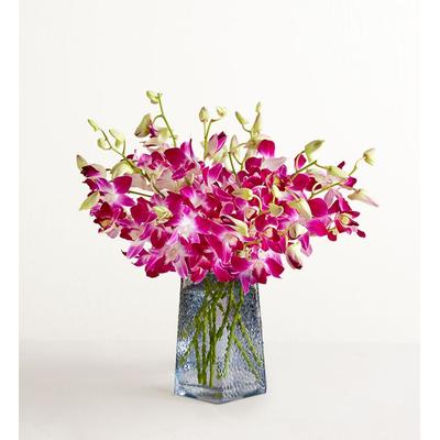 1-800-Flowers Flower Delivery Sympathy Orchids 10 Stems W/ Blue Vase | Happiness Delivered To Their Door